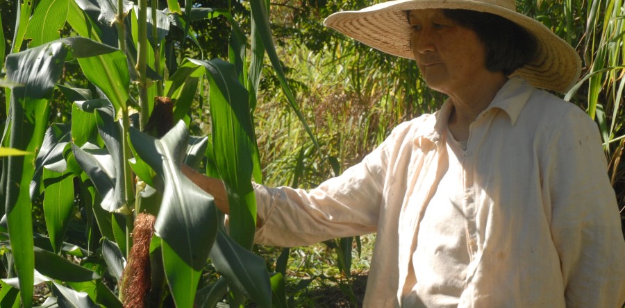 Rádio Debate discute desenvolvimento rural sustentável