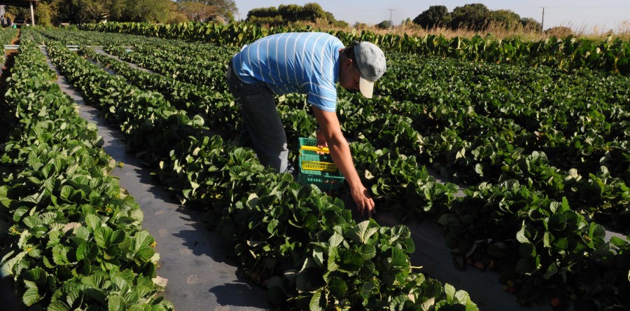 Tem início 3º Simpósio em Economia Rural na UFC