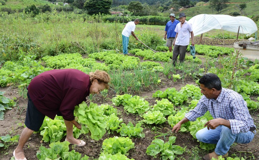 Programa Cultivar, Nutrir e Educar em Capim Branco