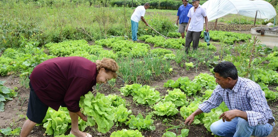 Agricultura Familiar é tema do Rádio Debate desta quinta-feira