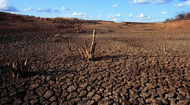 caatinga