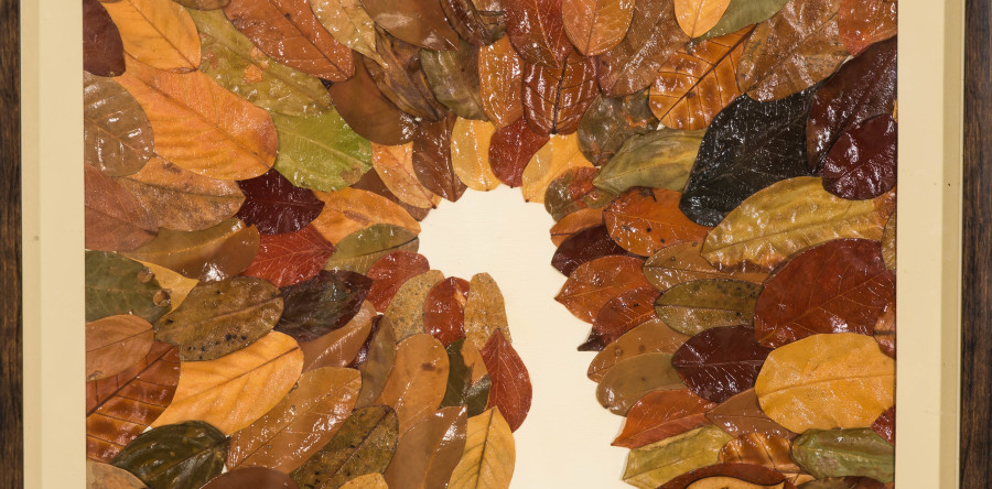 Sesc Iracema recebe Exposição Folhas de Leny Rose