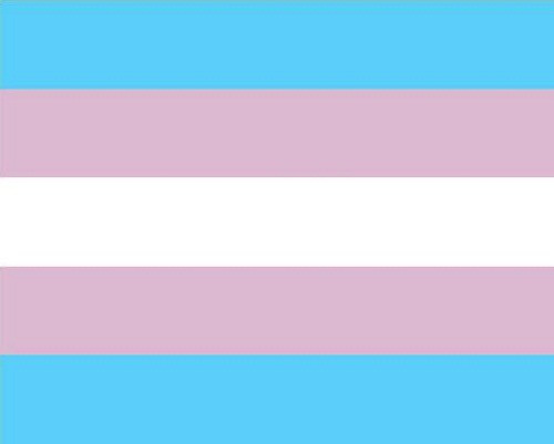 bandeira-orgulho-trans