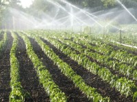 150302144349_water_irrigation_624x351_thinkstock