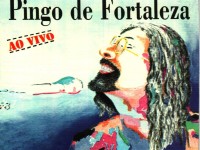 cd-pingo-de-fortaleza-ao-vivo-8760-MLB20007261067_112013-F