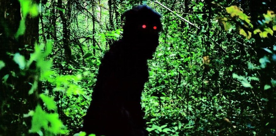 Amanhã (28), Cine Refluxus exibe o filme Tio Boonmee