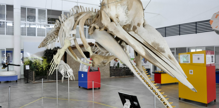 Seara da Ciência oferta bolsas, inscrições até sexta-feira (22)