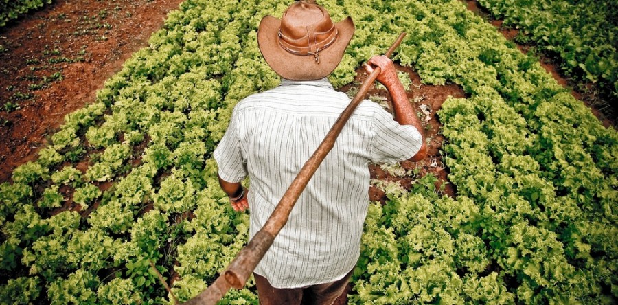 Rádio Debate discute sobre agricultura familiar