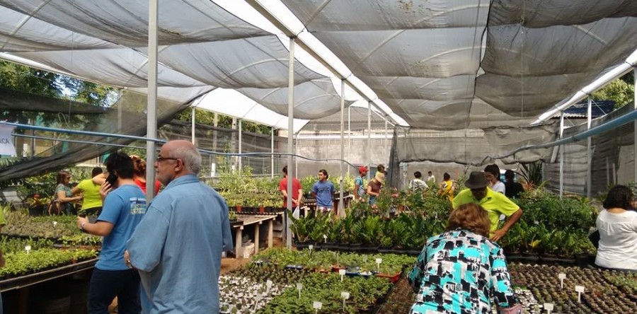 Orquidário da UFC realiza oficinas de cultivo de flores de primavera