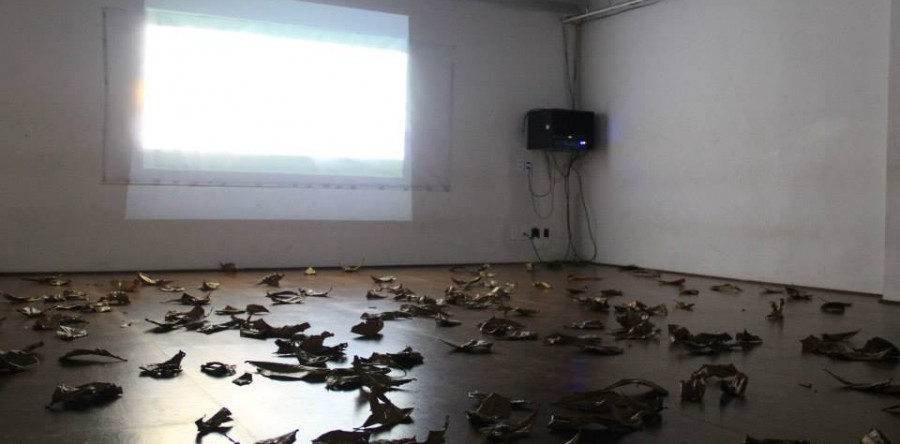 Cursos de Dança da UFC apresentam Mostra de Videodança