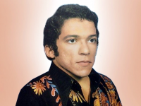 Nelson_Ned_colorida_horizontal_do_corpo