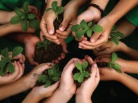 Sustentabilidade será usada como exemplo para tema que aborda ciência e cotidiano (Foto: Reprodução/Internet)