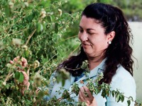 A professora Mary Anne Medeiros Bandeira coordena o projeto Farmácias Vivas e publicou o livro "Plantas Medicinais em Versos". A obra apresenta 40 poemas, cada um deles dedicado a uma planta. (Foto: Jarbas de Oliveira)