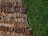 De acordo com Projeto de Monitoramento do Desmatamento na Amazônia Legal por Satélite (PRODES), 8.000 km² foram desmatados entre 2015 e 2016 (Foto: Reprodução/Internet)