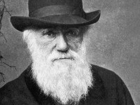 Charles Darwin foi um naturalista britânico, autor do livro A Origem das Espécies, livro que apresenta a Teoria da Evolução (Foto: Reprodução/Internet)