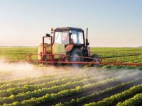 A Abrasco revelou em Dossiê sobre agrotóxicos, de 2015, que o brasileiro consome, por meio dos alimentos, 7,3 litros de pesticidas por ano (Foto: Reprodução/Internet)