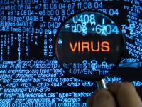 Os vírus de computador atuam por meio de interação humana e podem roubar dados pessoais e danificar os dispositivos (Foto: Reprodução/Internet)