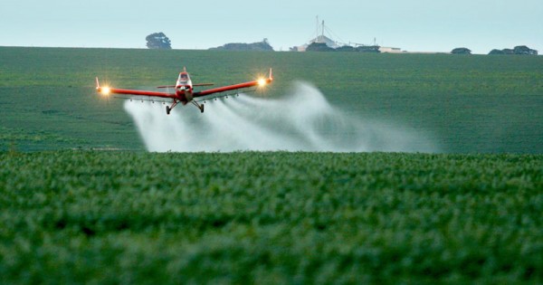 No início de 2019, foi colocada em vigor a lei que proíbe a pulverização aérea de agrotóxicos no Estado Ceará. O projeto tem a autoria do deputado Estadual Renato Roseno (PSOL-CE) (Foto: Agência Brasil)