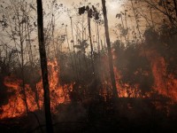 Na Amazônia Legal os focos ativos de queimadas em agosto de 2019 ficaram acima da média dos últimos 20 anos (Foto: Ueslei Marcelino/ Reuters)