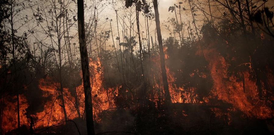 Programa Terra Mãe aborda queimadas na Amazônia