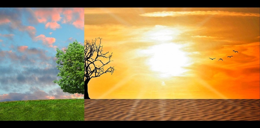 RUFM estreia radiodocumentário sobre mudanças climáticas