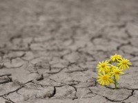 Segundo a psicóloga Ana Raquel Sousa, uma pessoa resiliente vê o lado positivo das coisas e se adapta a situações inesperadas, sempre aprendendo com as experiências de vida (Imagem: Getty Images)