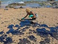 Diante da demora do poder público em tomar providências sobre o incidente, voluntários assumiram a tarefa de limpeza das praias (Foto: Antonello Veneri/AFP)