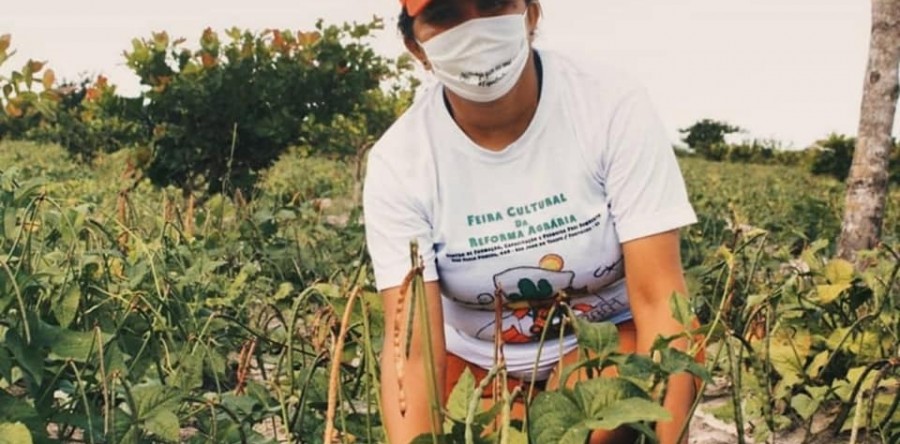 Governo do Ceará lança Portal da Agricultura Familiar