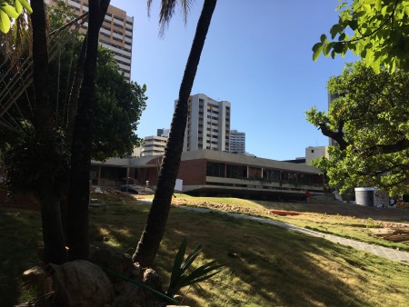 A Residência Benedito Macedo tem projeto arquitetônico assinado pelos arquitetos Acácio Gil Borsói e Janete Costa, e paisagismo de paisagismo de Roberto Burle Marx (Foto: Thais Vieira)