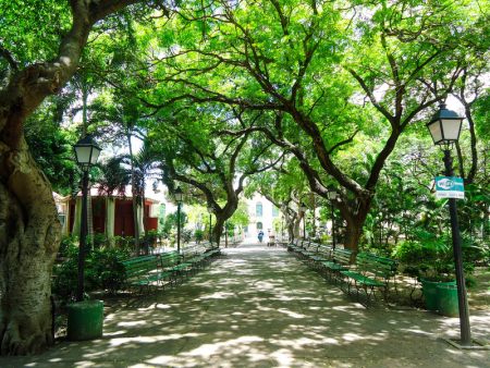 Fortaleza é favorecida por uma ventilação natural, permitindo que praças arborizadas sejam espaços de convivência até para restaurantes (Foto: Nakinn)