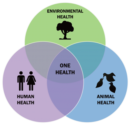 A abordagem One Health defende que a saúde do planeta deve ser compreendida de forma integral para evitar novas crises (Imagem: Reprodução/Internet)