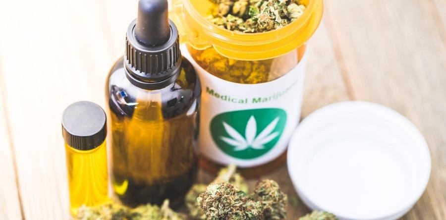 Cannabis: uma questão de saúde