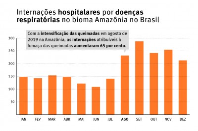 A avaliação das organizações sobre os impactos na saúde inclui uma análise estatística de dados oficiais sobre internações hospitalares, desmatamento, focos de calor e qualidade do ar (Foto: Human Rights Watch)