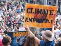 A expressão "Emergência Climática" foi escolhida como termo do ano de 2019 pelo Dicionário Oxford (Foto: Internet/Reprodução)