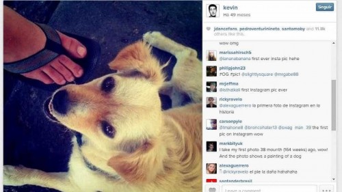 A primeira fotografia postada no Instagram foi o cão de Kevin Systrom, fundador da plataforma (Foto: Reprodução/Internet)