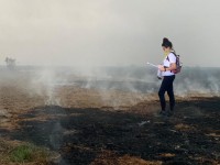 Segundo o INPE, nos primeiros 7 meses de 2020, foi registrado o maior índice de queimadas no Pantanal desde 1999 (Foto: Arquivo Pessoal/Viviane Layme)