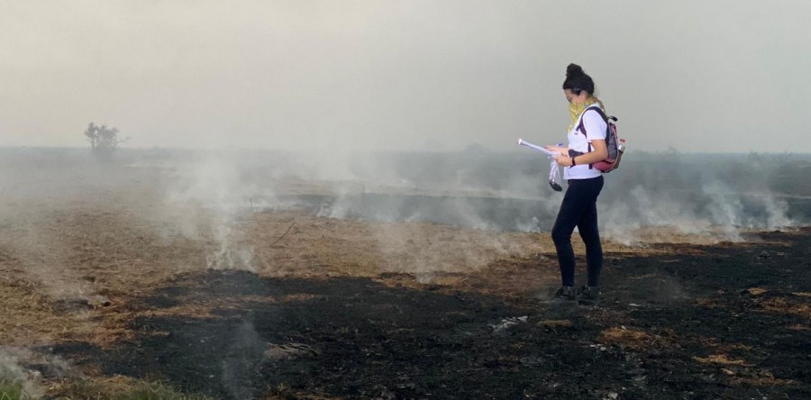 Pantanal em chamas: O que está acontecendo?
