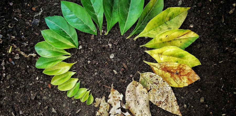 Morte e luto são tema de especial da Universitária FM