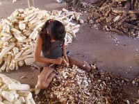 2021 é o Ano Internacional de Eliminação do Trabalho Infantil (Foto: ONG Repórter Brasil)