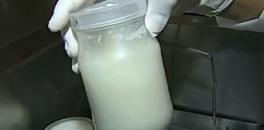 Banco de Leite da Maternidade Escola precisa de doações