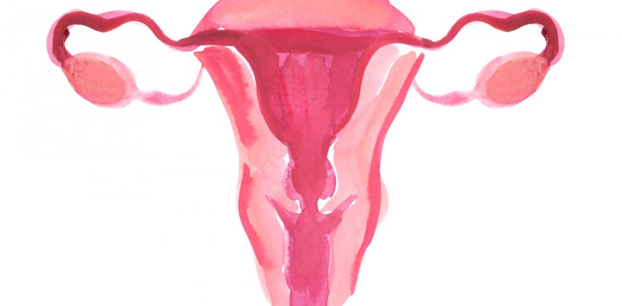Março: Mês Mundial de Conscientização da Endometriose