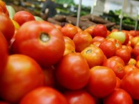O tomate foi um dos itens da cesta básica que registrou queda de preço (Foto: Arquivo/Diário do Nordeste)