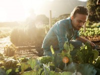 Diversas organizações, movimentos, pesquisadores, agricultores e cidadãos de
diferentes segmentos da sociedade somam esforços para frear os danos à saúde e à
natureza causados pela utilização desenfreada de venenos (Foto: Reprodução/Internet)