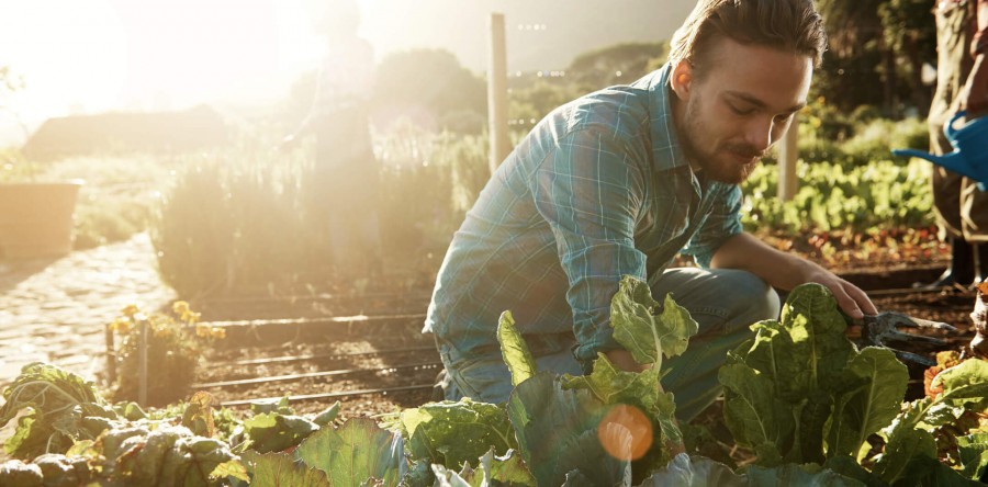 Conheça a Campanha Cearense Permanente em Defesa da Vida