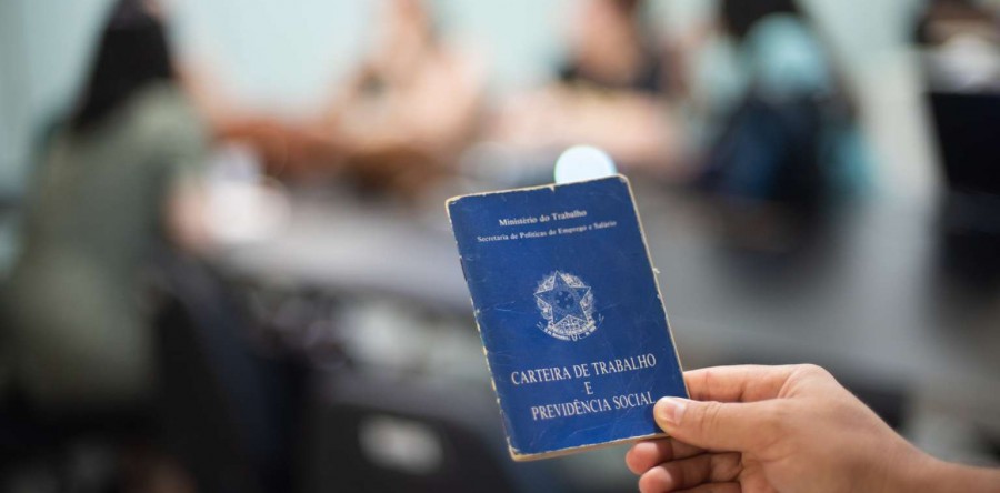 Programa cria empregos no Estado