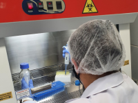 Startup nasceu dentro da UFC e reforça a importância das pesquisas realizadas em muitos laboratórios da Universidade (Foto: Divulgação/TaqMol Diagnósticos)