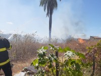 Até o final deste ano, segundo estimativas, os incêndios florestais no Ceará deverão superar a média histórica (Foto: Reprodução/Internet)