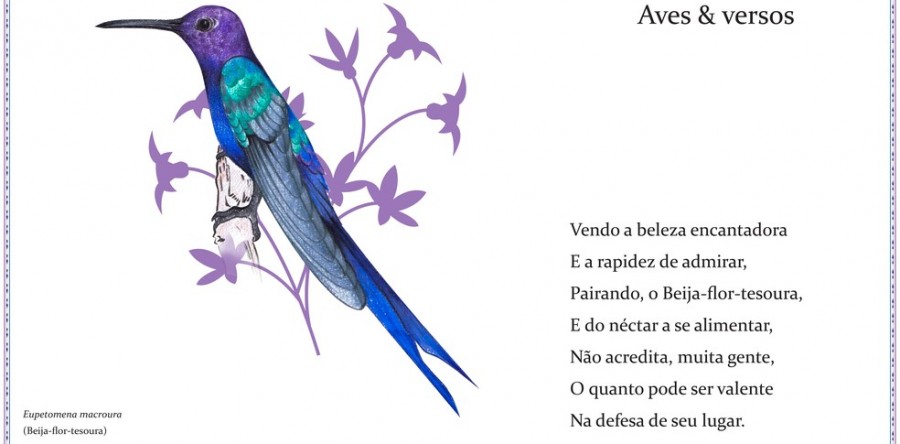 Ilustração e poesia no projeto Aves e Versos