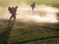 O sumário executivo do dossiê está disponível no portal da Campanha Permanente contra os Agrotóxicos e Pela Vida, no site contraosagrotoxicos.org (Foto: Arquivo EBC)