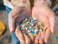 Dado de 2020, da organização internacional Oceana, mostra que no Brasil, anualmente, cerca de 325 mil toneladas de plástico vão parar nos oceanos (Foto: Reprodução/Internet)